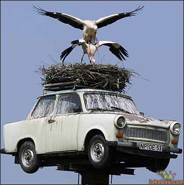 Funny Picture - Misc Jokes funny pictures - Sex in the car