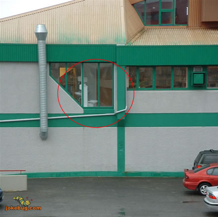 Funny Picture - True Stories Jokes funny pictures - Worry-free toilet