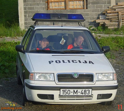 Funny Picture - Work Jokes funny pictures - To protect and serve