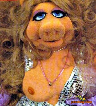 Funny Picture - Misc Jokes funny pictures - Piggy Uncensored