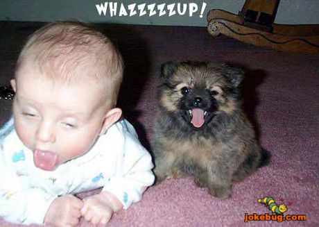 Funny Picture - Misc Jokes funny pictures - Whazzzappp!!!