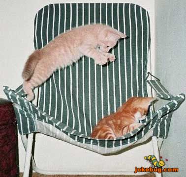 Funny Picture - Misc Jokes funny pictures - That's not fair