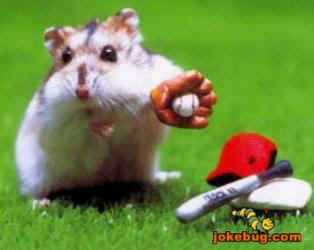 Funny Picture - Misc Jokes funny pictures - Let me catch it!
