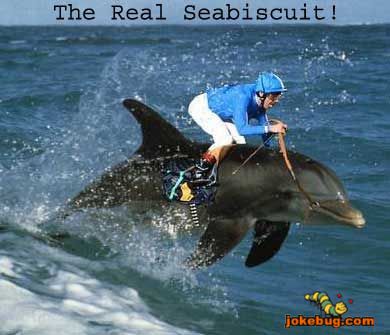 Funny Picture - Misc Jokes funny pictures - SeaBiscuit