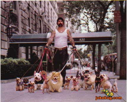 Funny Picture - Misc Jokes funny pictures - Reformed Gangbanger