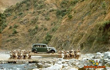 Funny Picture - Misc Jokes funny pictures - It's good to be the king...