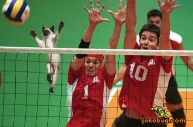 Funny Picture - Sports Jokes funny pictures - Mine!