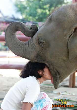 Funny Picture - Misc Jokes funny pictures - Get head