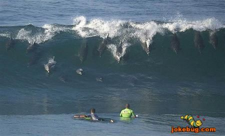 Funny Picture - Misc Jokes funny pictures - Get out of the waaaay!