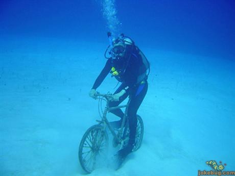 Funny Picture - Sports Jokes funny pictures - Most useless sport... ever